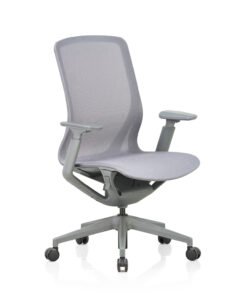 Posture Medium Back Mesh Chair